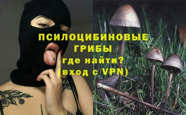 ешки Покачи