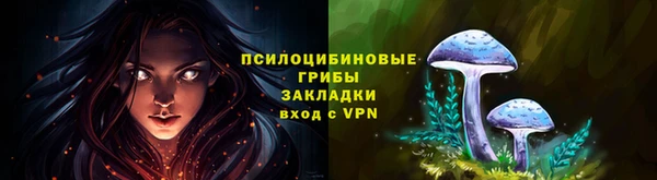 мяу мяу мука Приозерск