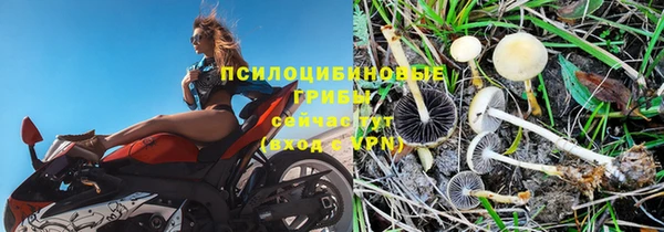 ешки Покачи