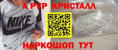 крисы Камышлов