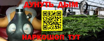 крисы Камышлов