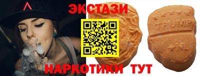 крисы Камышлов