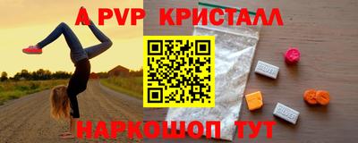 крисы Камышлов