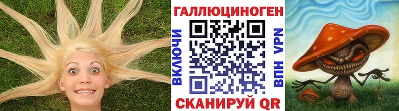 Галлюциногенные грибы Psilocybe  Краснознаменск 