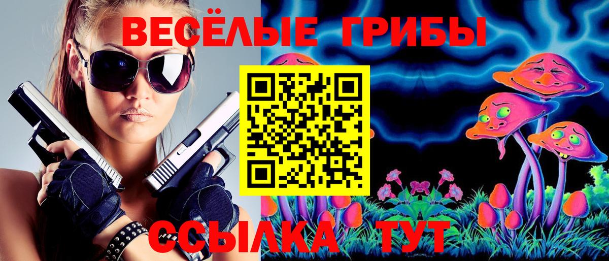 Галлюциногенные грибы MAGIC MUSHROOMS Краснознаменск