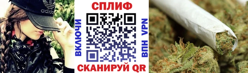Шишки марихуана гибрид как найти закладки Краснознаменск